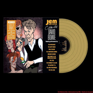 VARIOUS ARTISTS | JEM RECORDS CELEBRATES DAVID BOWIE / VARIOUS