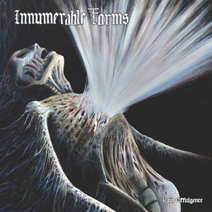 INNUMERABLE FORMS | PAIN EFFULGENCE