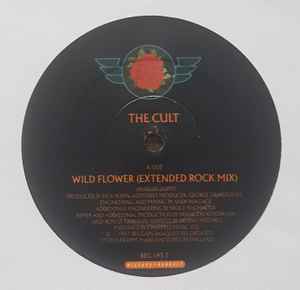 CULT | WILDFLOWER - 12 - NO COVER