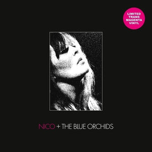 | LIVE & IN SESSION 1982