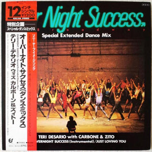TERI DESARIO | OVERNIGHT SUCCESS 12 - JAPANESE PRESSING WITH OBI BAND