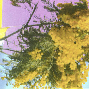 FOUR TET | INTO DUST (STILL FALLING) (VINYL)