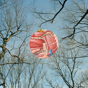 THEY MIGHT BE GIANTS | GLEAN