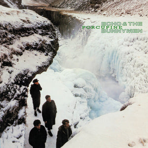 ECHO AND THE BUNNYMEN | PORCUPINE (SOFTPACK)