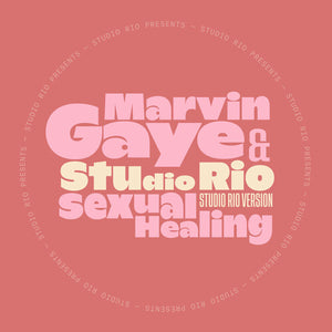 MARVIN GAYE STUDIO RIO | SEXUAL HEALING 7"