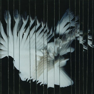 SCALER | ENDLESSLY