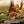 DOCUMENTARY | WALKING WITH DINOSAURS (2BLU - RAY DVD SET)