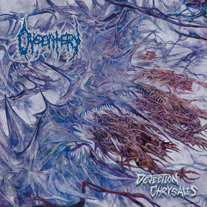 DYSENTERY | DEJECTION CHRYSALIS