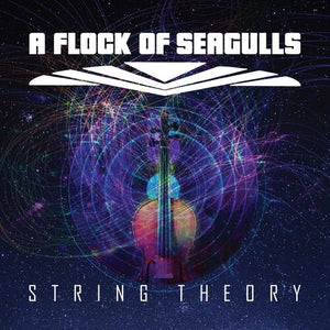FLOCK OF SEAGULLS | STRING THEORY