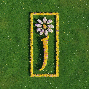 JAMES | NOTHING BUT LOVE - THE DEFINITIVE BEST OF (2LP SET) (VINYL)