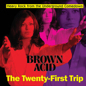 VARIOUS ARTISTS | BROWN ACID - THE TWENTY-FIRST TRIP / VARIOUS