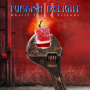 VARIOUS ARTISTS | TURKISH DELIGHT VOLUME THREE / VARIOUS