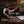 MIKA STOLTZMAN | MIHO HAZAMA J.S. BACH JOHN ZORN & CLAUDE DEBUSSY: