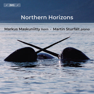 MARKUS MASKUNIITTY | NORTHERN HORIZONS