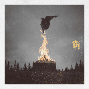 | THRONE OF ASHES