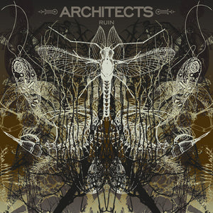 ARCHITECTS | RUIN