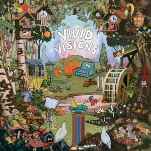 EXPERT | VIVID VISIONS
