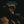DONNY HATHAWAY | LIVE (RHINO RESERVE)