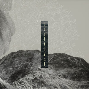 VESTIGIAL | DESCENDING VASTNESS