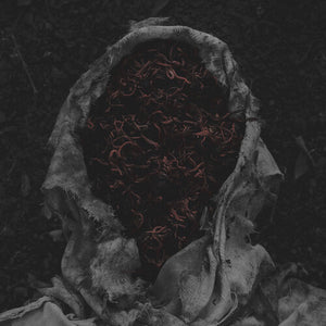 GORRCH | STILLAMENTUM
