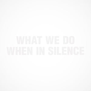 | WHAT WE DO WHEN IN SILENCE