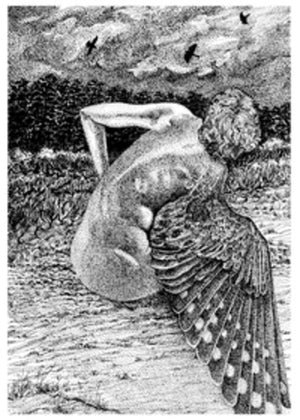 PATRICK LYSAGHT | FOR THE BIRDS