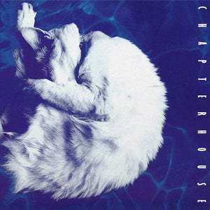 CHAPTERHOUSE | WHIRLPOOL