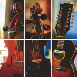 GANGLOFF / SCHENKER / SHEPPARD | UNIVERSAL LIGHT