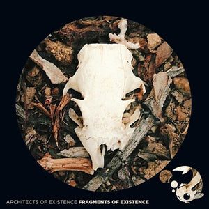 ARCHITECTS OF EXISTENCE | FRAGMENTS OF EXISTENCE