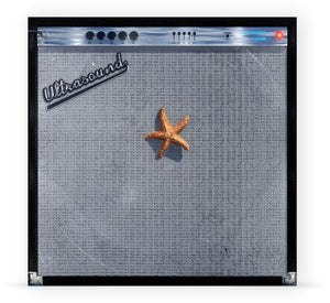 NEIGHBOURHOOD | ULTRASOUND (STARFISH ORANGE 2LP EDITION) (VINYL)