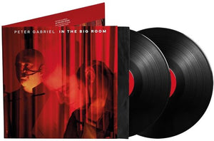 PETER GABRIEL | IN THE BIG ROOM
