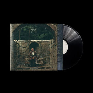 DERMOT KENNEDY | WEIGHT OF THE WOODS (VINYL)