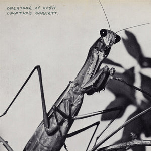 COURTNEY BARNETT | CREATURE OF HABIT (SOFTPACK)