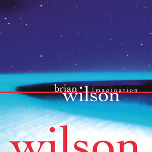BRIAN WILSON | IMAGINATION LTD VINYL RSD 2026 (VINYL)