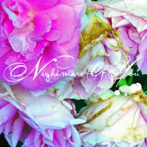 NIGHTMARE OF YOU | NIGHTMARE OF YOU