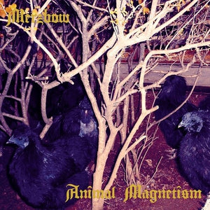 MERZBOW | ANIMAL MAGNETISM