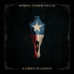 AARON WATSON | HORSE NAMED TEXAS