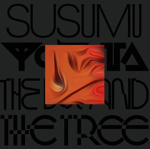 SUSUMU YOKOTA | BOY & THE TREE