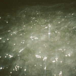 BEN KACZOR | SIRENE
