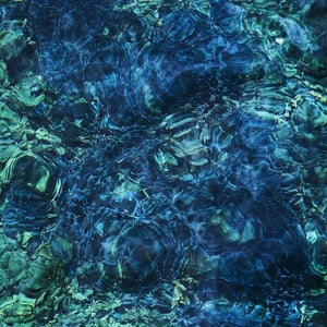 ICHIKO AOBA | LUMINESCENT CREATURES - LIMITED