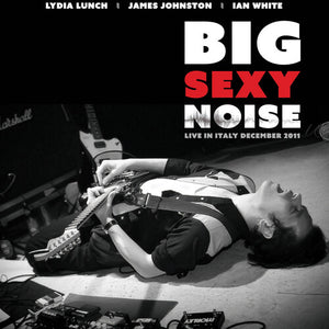 BIG SEXY NOISE | LIVE IN ITALY