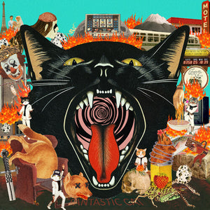 FANTASTIC CAT | CAT OUT OF HELL