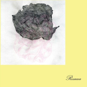 GAUTE GRANLI | ROSACEA