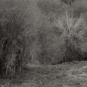 K. LEIMER | ATROPHIES FOR PIANO