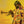 BERIMA AMO | RHYTHMS OF LOVE