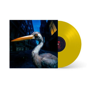 ANTONY SZMIEREK | DECODING BIRDSONG (YELLOW EDITION) (VINYL)