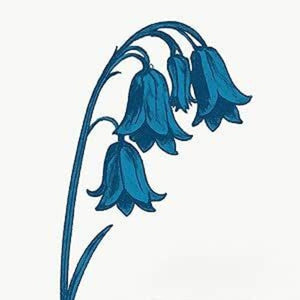 THE BLUEBELLS | THIS IS THE BLUEBELLS - BLUE VINYL