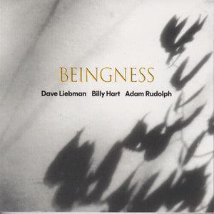 DAVE LEIBMAN^BILLY HART^ADAM RUDOLPH | BEINGNESS