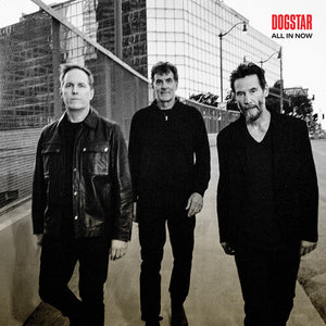 DOGSTAR | ALL IN NOW