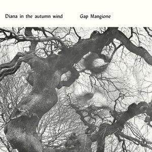 GAP MANGIONE | DIANA IN THE AUTUMN WIND